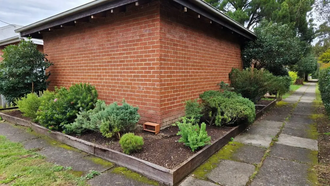 A raised garden bed built against a brick wall, with the soil up to the bottom of a subfloor vent.